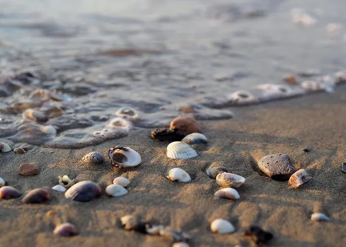 Apartmán Coastal Comfort In Lido Del Sole With Sea View *